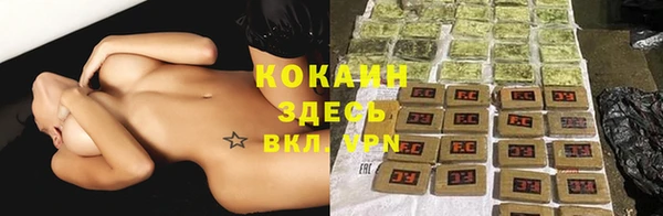 гашик Михайловка
