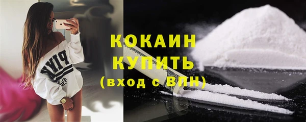 сатива Михайлов
