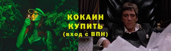 гашик Михайловка