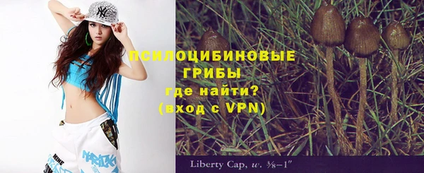 гашик Михайловка