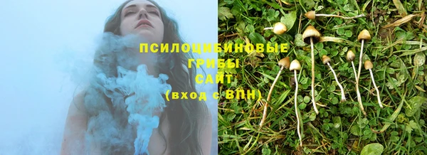 сатива Михайлов