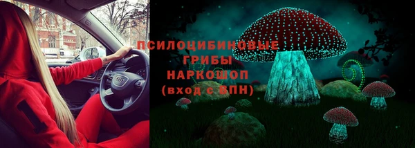 сатива Михайлов