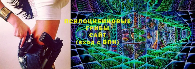 закладка  Заволжск  mega ссылки  Псилоцибиновые грибы Cubensis 